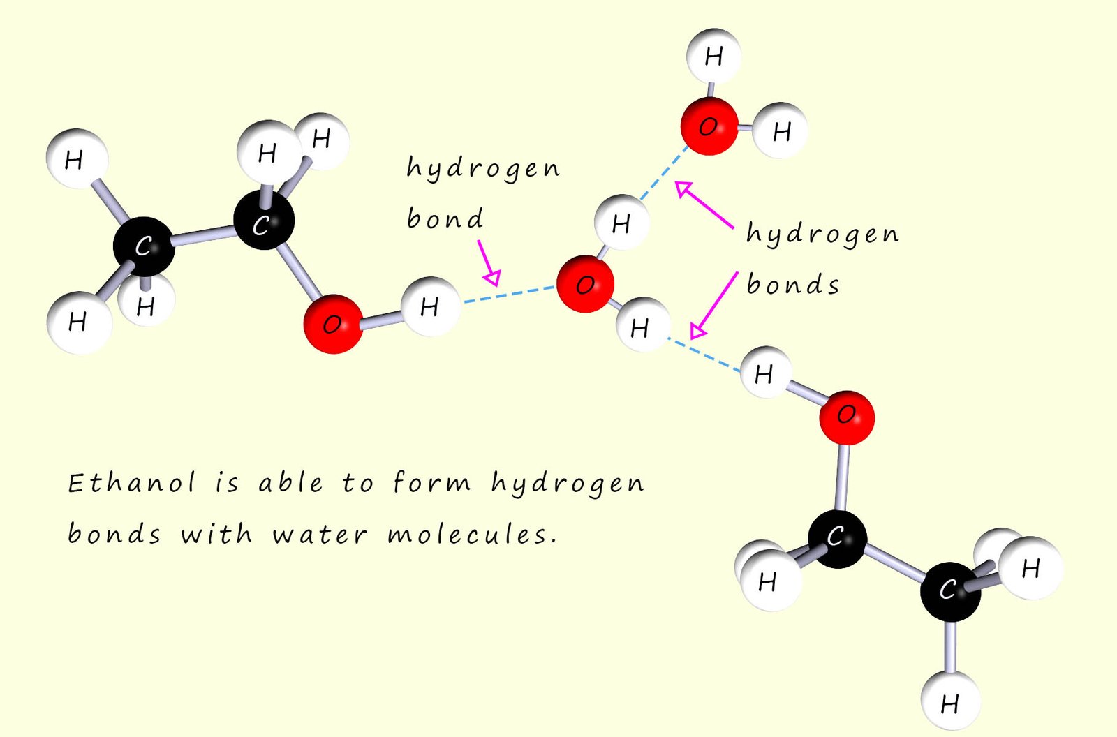 Hydrogen bonding between ethanol and water molecules
